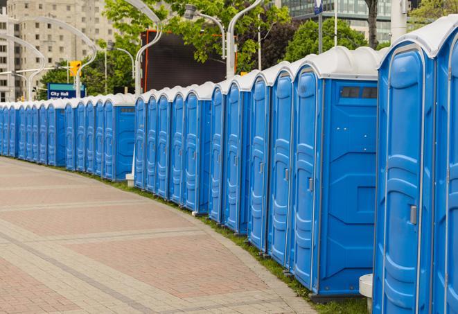 Seasonal porta potty units set up at a Detroit Lakes, Minnesota venue